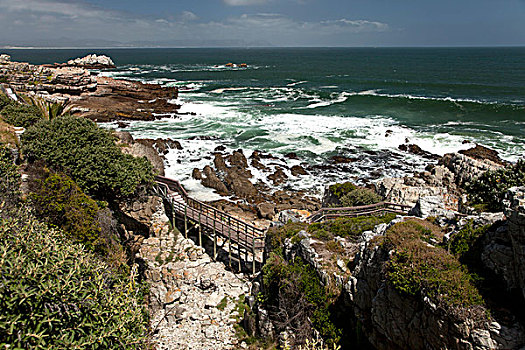 悬崖,西海角,南非,非洲