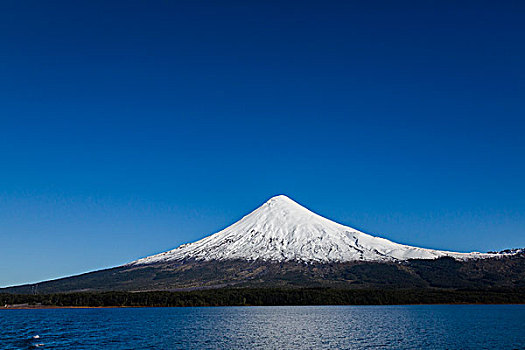 风景,湖,火山,蔷薇目,巴塔哥尼亚,智利