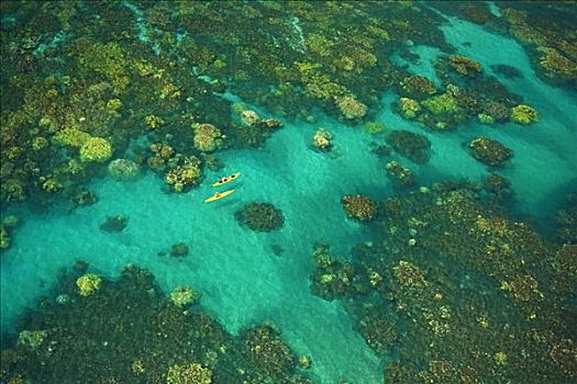 夏威夷,毛伊岛,俯视,两个,漂流者,海洋,漂亮,珊瑚,欧咯瓦鲁