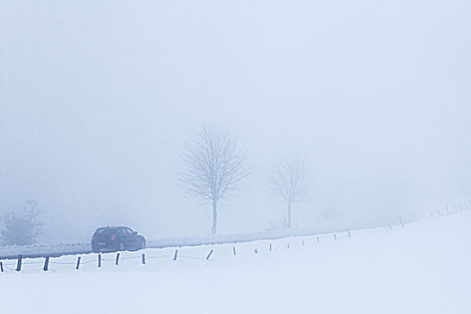 汽车,薄雾,北莱茵-威斯特伐利亚,德国,欧洲