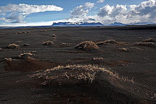 火山地区,沙子,朴素,南方,区域,冰岛,欧洲