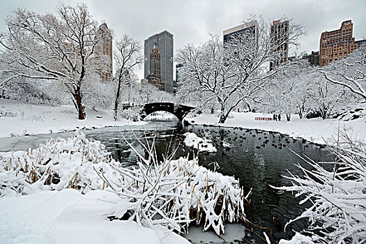 中央公园,冬天,摩天大楼,桥,曼哈顿中城,纽约