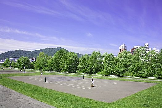 人,玩,网球,草,河岸
