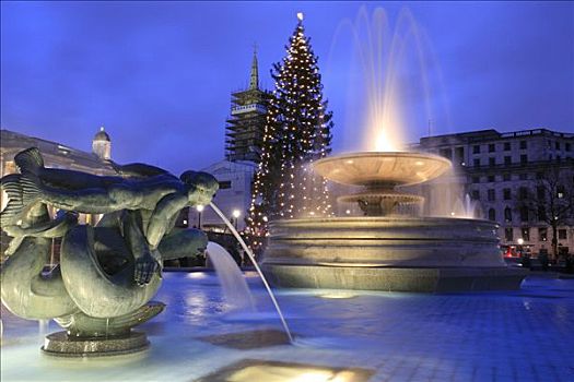 特拉法尔加广场,喷水池,圣诞树,伦敦,英国