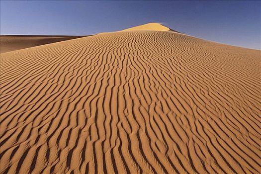 沙丘,东部大沙漠,撒哈拉沙漠,阿尔及利亚