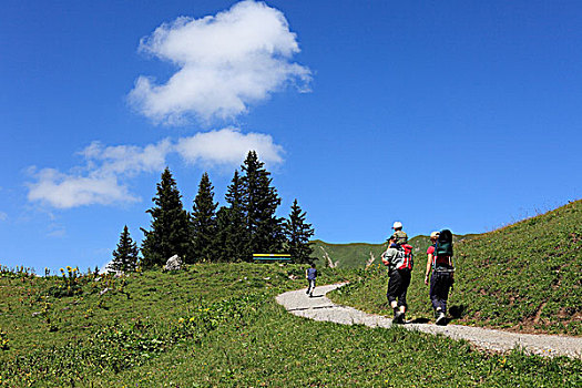 远足者,阿尔卑斯山,奥地利,欧洲