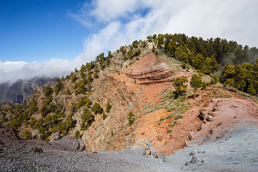 红色,火山,石头,国家公园,帕尔玛,加纳利群岛,西班牙