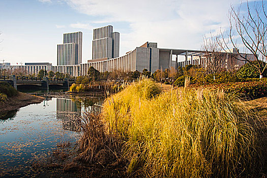湿地边的现代建筑