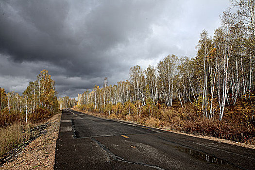 笔直,道路,远景