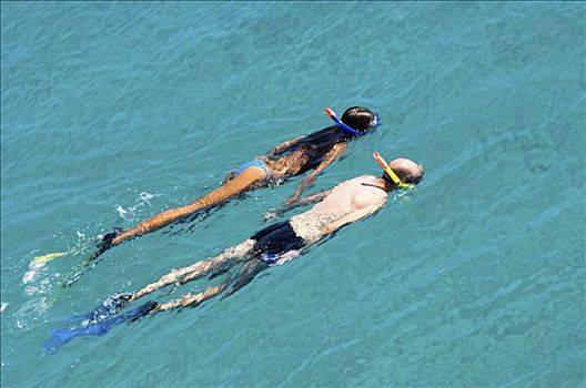 游泳,伴侣,一个,男人,女人,通气管,鳍,青绿色,水,地中海,希腊