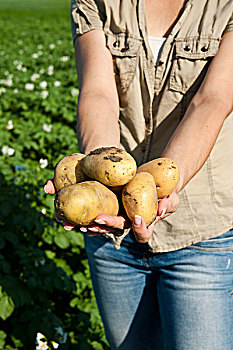 女人,拿着,土豆,曼海姆,巴登符腾堡,德国