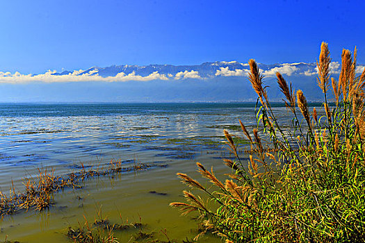 洱海美景