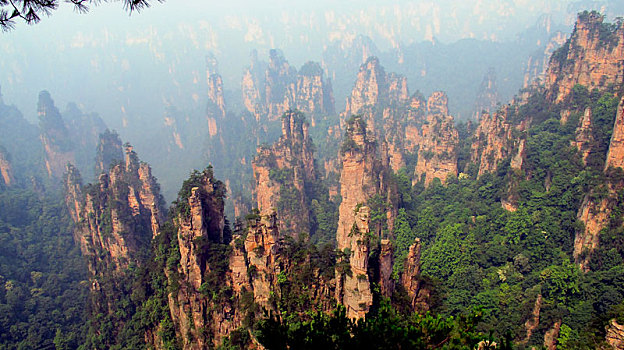 湖南张家界,山水风光誉满天下,风景如画仿佛置身仙境