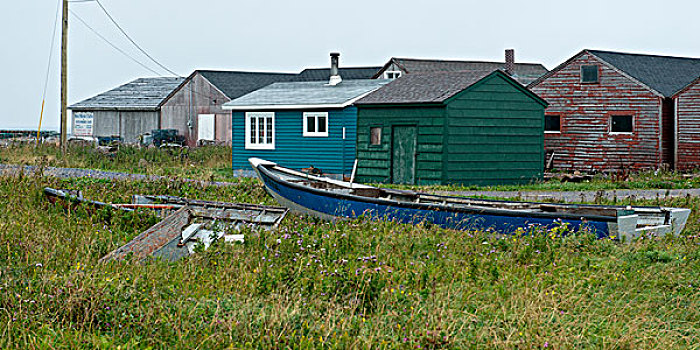 建筑,渔村,小湾,格罗莫讷国家公园,纽芬兰,拉布拉多犬,加拿大