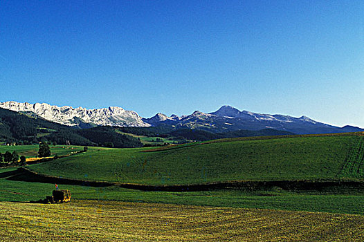 收获,干草,法国阿尔卑斯山