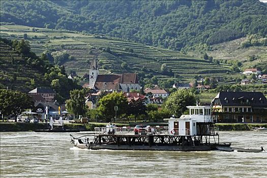 车辆渡船,多瑙河,瓦绍,下奥地利州,奥地利,欧洲