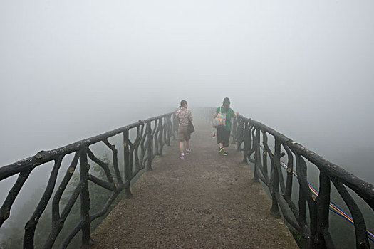 两个女人,徒步旅行,雾,山,国家公园,永定,张家界,中国,亚洲