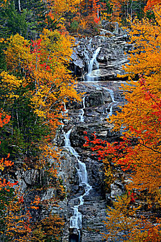 银,瀑布,秋叶,新英格兰,区域