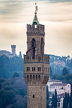 塔,韦奇奥宫,背景,花园,观景楼,佛罗伦萨,意大利,欧洲