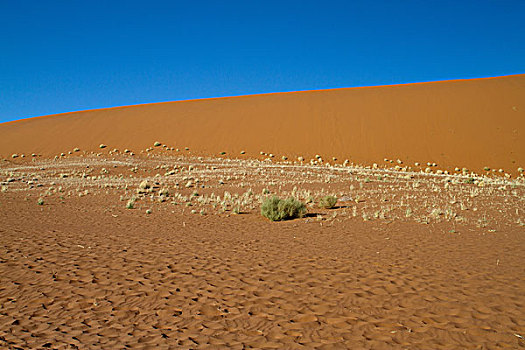索苏维来地区,纳米比沙漠