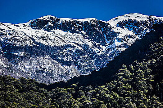 风景,山顶,山,纳韦尔瓦皮,国家公园,阿根廷