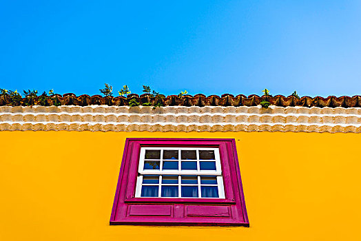 黄色,建筑,粉色,窗户,老城,圣克里斯托瓦尔,泻湖,特内里费岛,加纳利群岛,西班牙,欧洲
