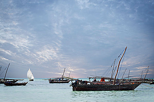 独桅三角帆船,桑给巴尔岛,坦桑尼亚