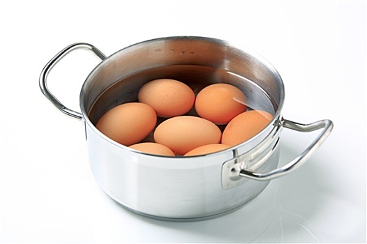 蛋,炖锅