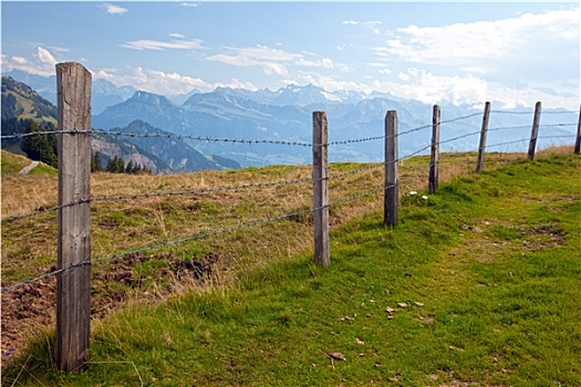 倒刺网,围栏,瑞士,乡村