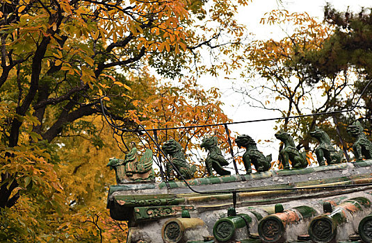 北京门头沟,千年古刹潭柘寺秋景如画