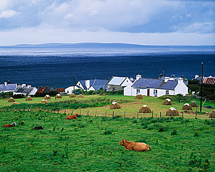阿基尔岛,爱尔兰