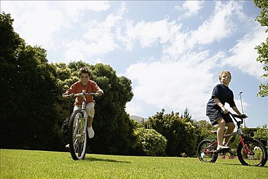 孩子,男孩,骑自行车,公园