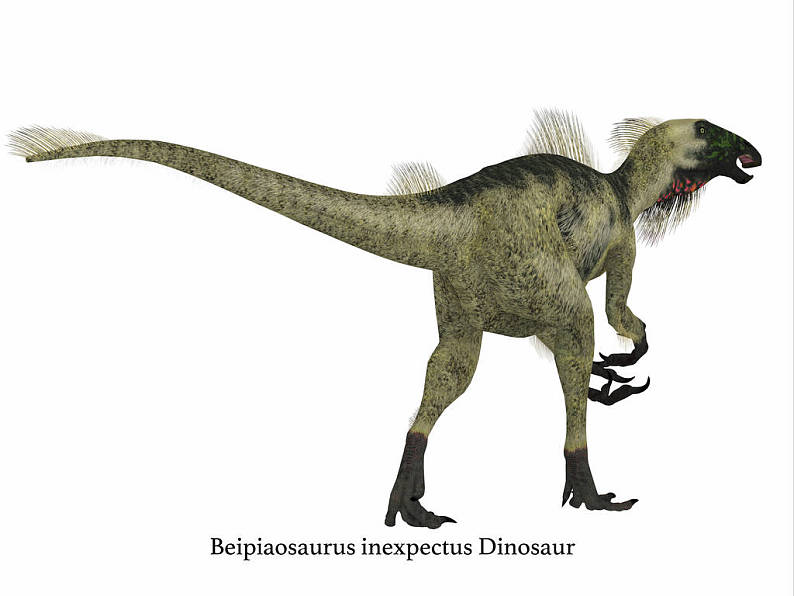 beipiaosaurus图片