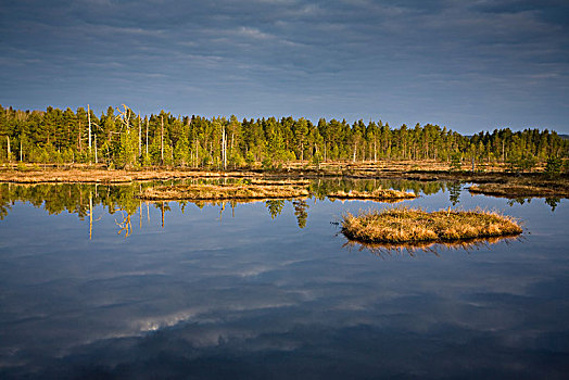 乌云,反射,水面,瑞典
