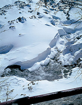 雪,遮盖,陆地