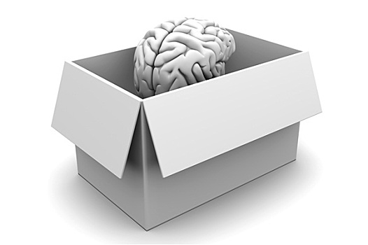大脑,盒子