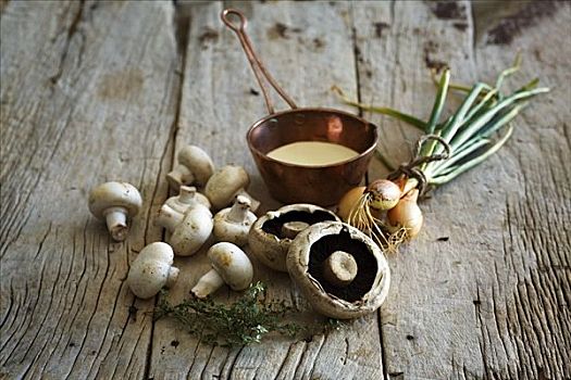 蘑菇,洋葱,药草