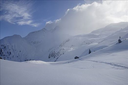 云,上方,原生态,冬季风景,阿尔卑斯山