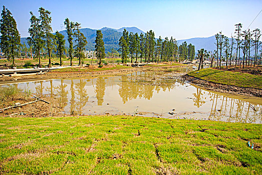 草地,道路,花木,绿色