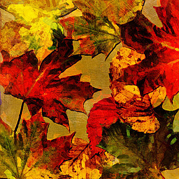 艺术,秋叶,背景,活力,红色,黄色,绿色,褐色,彩色