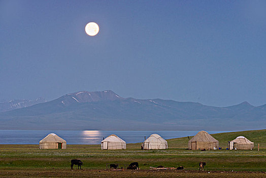 月亮,上升,上方,歌曲,湖,游牧,蒙古包,省,吉尔吉斯斯坦,亚洲