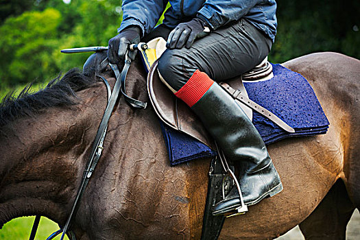 马美女,骑,骑马,雪中牛仔,萨斯喀彻温,加拿大两个男孩,骑马男人,马靴