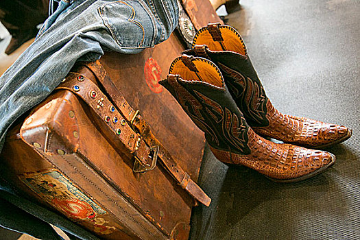 牛仔,蛇皮,靴子,老式,手提箱,圣达菲,新墨西哥,美国