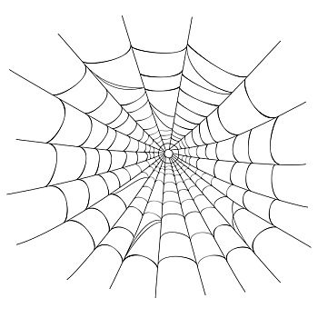 矢量,蜘蛛网,白色背景