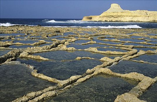 岩石海岸,蒸发,湾,岛屿,马耳他