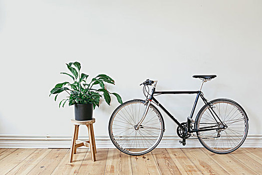 室内植物,自行车
