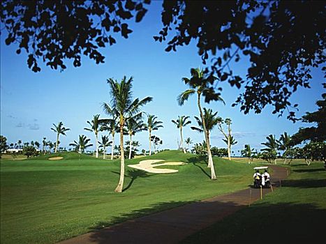 夏威夷,瓦胡岛,高尔夫球杆,高尔夫球车,道路