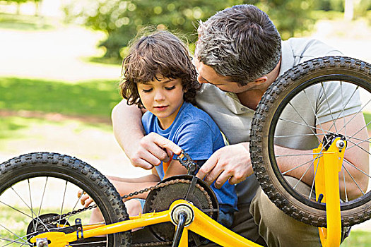 父子,修理,自行车