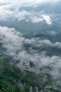 重庆市酉阳花田灌水梯田云雾缭绕风景如画