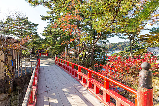 松岛,宫城,红色,桥